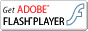 Flash Player Download